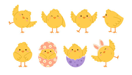 Cute chicken set. Childish chick print for nursery, poster and postcard. Flat isolated vector illustrationのイラスト素材