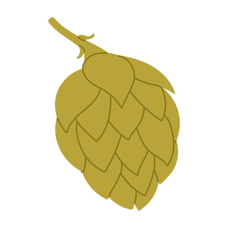 Green hop cone. Flat vector isolated illustrationのイラスト素材