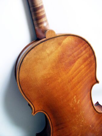 violin back, the back of a fine antique violin, with shadow, on white  by W  E  Hill and sons, the top UK violin maker の写真素材