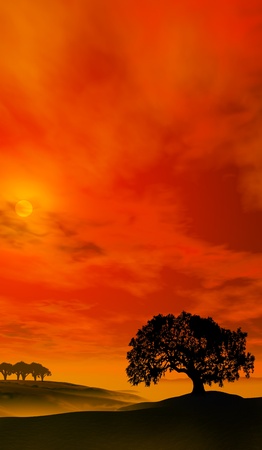 red sunset oaks, a digitally created image of an ancient oak tree in front of a glorious red sunset の写真素材