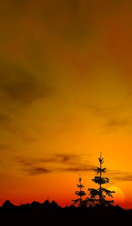sunset trees, a digitally created image of small fir trees and a glorious warm sunset の写真素材