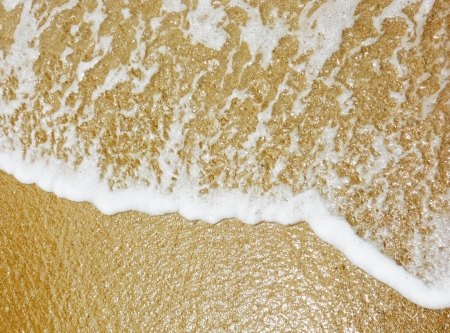 sand and sea 2, yellow sand and delicate sea foam on a tropical beachの写真素材