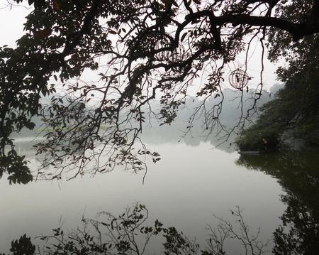 Hoan Kiem lake 3, Haon Kiem lake, Hanoi, Vietnam, on a misty day, with a tree reflected in the still watersの写真素材