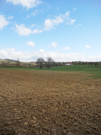 English farmland, early spring growth on a ploughed field, Surrey, UKの写真素材