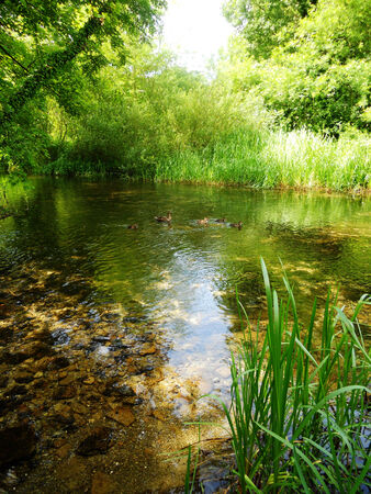 stream 2, a clear shallow stream in the Cotswolds UKの写真素材