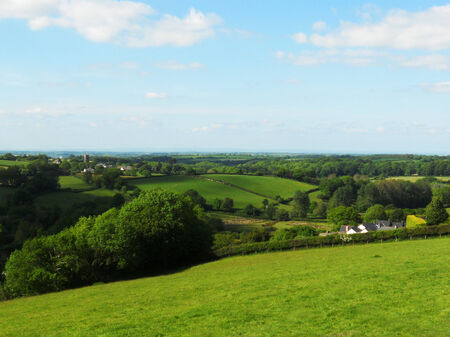 Cornish fields 10, green fields, forest and blue sky, summer, Cornwall, UKの写真素材