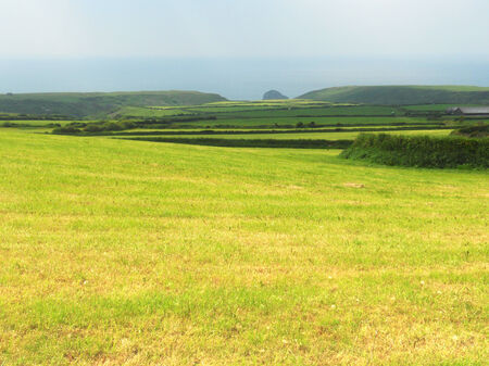 Cornish fields 3, fields in Cornwall, UKの写真素材