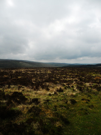 a view of Dartmoor, Devon, UKの写真素材