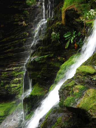 two waterfalls down a rocky, mossy cliff, Cornwall, UKの写真素材