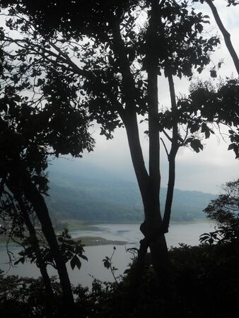Rain forest lakeの写真素材