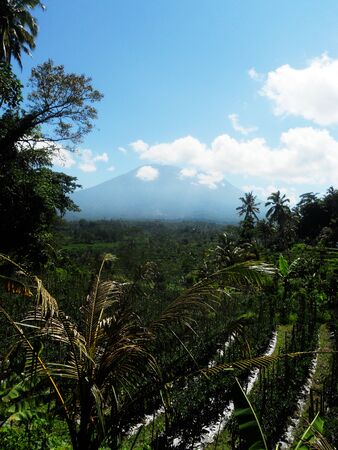 Balinese landscape with agriculture and distant volcanoの写真素材