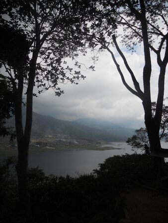 Rain forest lakeの写真素材