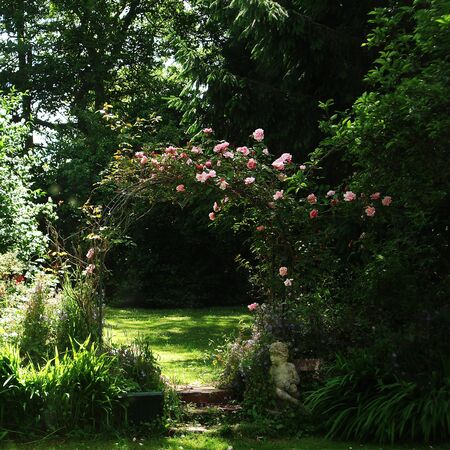 Rose arch with pink roses in a shaded English gardenの写真素材