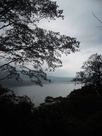 Rain forest lakeの写真素材