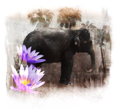 "Asia" collage, with elephant and lotus flowers,の写真素材