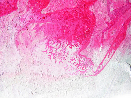 Organic painted texture with fascinating organic forms and textures from pigment drying under...