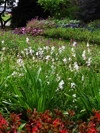 Ornamental flower border in a British garden.の写真素材