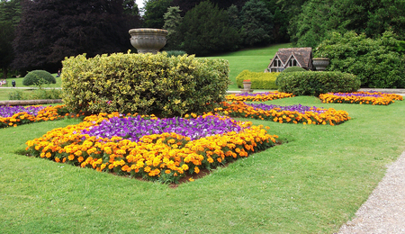Ornamental flower border in a British garden.の写真素材
