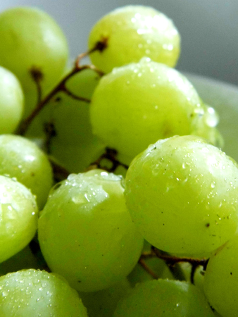 White grapes in a small ceramic bowl, with water drops, closeup.の写真素材