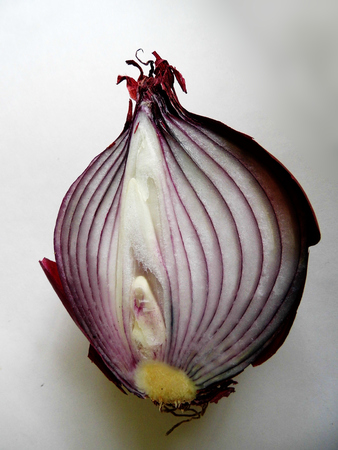 red onion halved, showing the inside.の写真素材