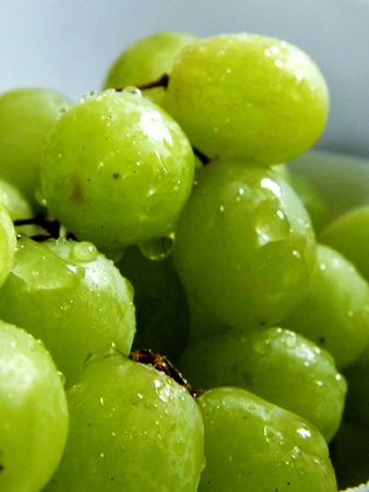 White grapes in a small ceramic bowl, with water drops, closeup.の写真素材