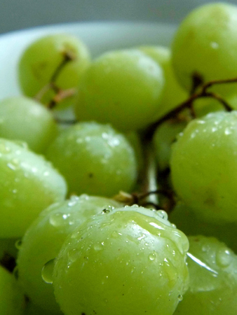 White grapes in a small ceramic bowl, with water drops, closeup.の写真素材