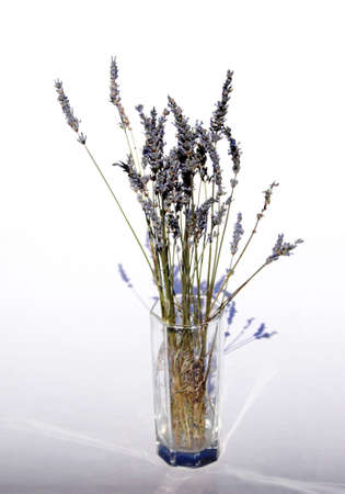 Dried lavender in a sunlit glass vase.の写真素材