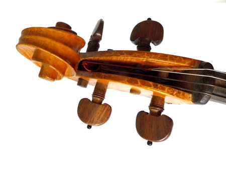Cello scroll against a white background, hand-made musical instrument.の写真素材