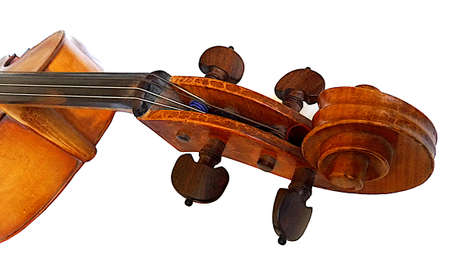 Cello scroll against a white background, hand-made musical instrument.の写真素材