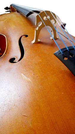 Cello showing f-hole, body, bridge and strings, fine hand-made musical instrument.の写真素材
