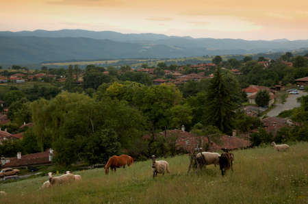 Scene from the villga of Jeravna at sunsetの写真素材