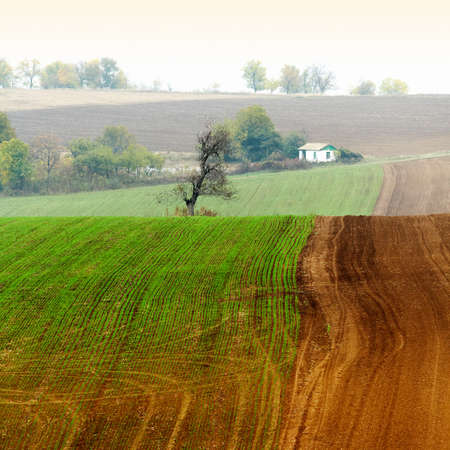 Autumn scenery from the North part of Bulgaria, the countryside near Russeの写真素材