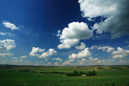 Rural scene with blue sky and green fieldsの写真素材