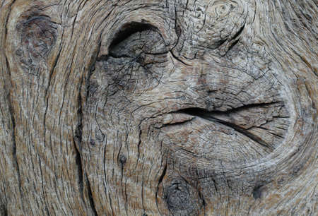Old wood close-upの写真素材