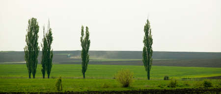 Rural green landscape, a working, ploughing tractorの写真素材