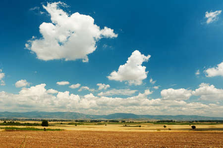 Summer landscape of countryside with corn field and cloudy skyの写真素材