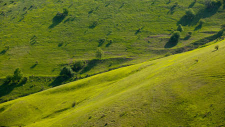 Hills with green spring grassの写真素材