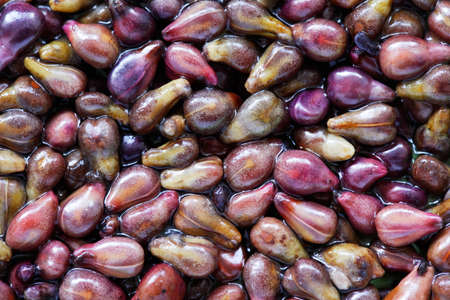 Close-up of grapes seeds, medicine ingredientの写真素材
