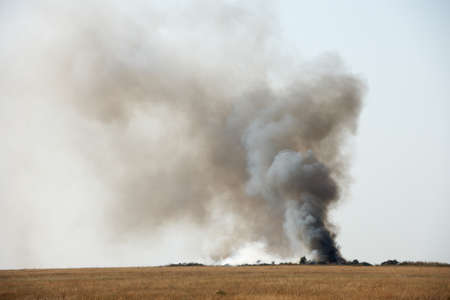 Toxic black smoke from fire in dung-hill emitting poison in the airの写真素材