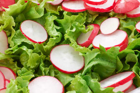 Green lettuce and red radish salad close-upの写真素材