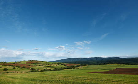Spring landscape scenery with green field and blue skyの写真素材