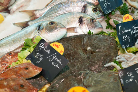 Fresh fish for sale on sea food market stall in Marseille, Provence, Franceの写真素材