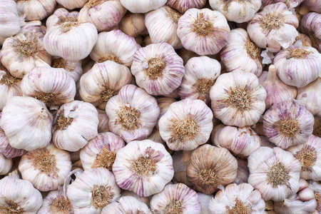 Garlic for sale on Provence market, Marseille city, South Franceの写真素材