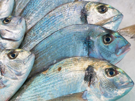 Fresh mediterranean sea-bream fish for sale on market of Marseille, Franceの写真素材