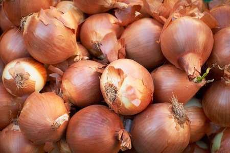 Fresh onions for sale on Provence market of Marseille, South Franceの写真素材