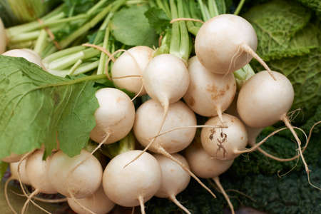 Fresh white turnip vegetables for sale on Provence market of Marseille, South Franceの写真素材
