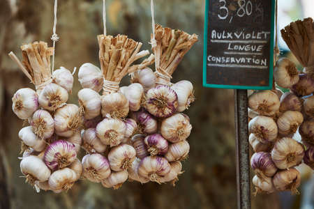 Violet garlic for sale at  farmers market in Aix en Provence, Franceの写真素材