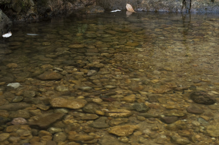 transparent waterの写真素材