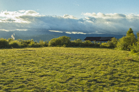late afternoonの写真素材