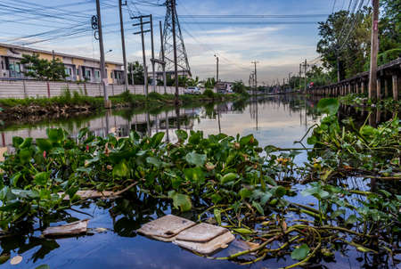 water pollutionのeditorial素材